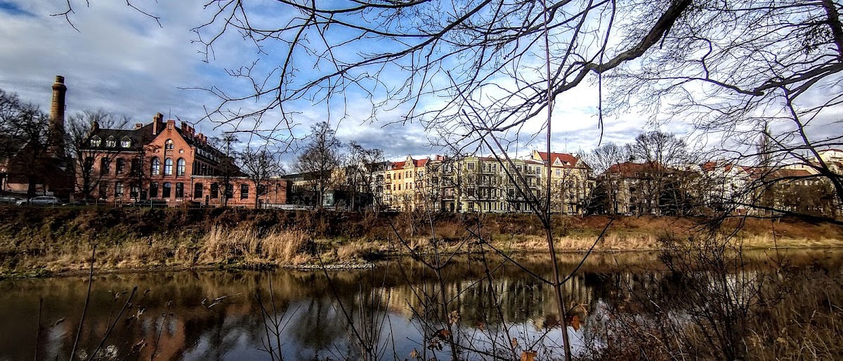 Medical University of Wrocław photo 1