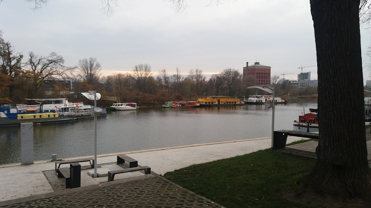 Medical University of Wrocław photo 3