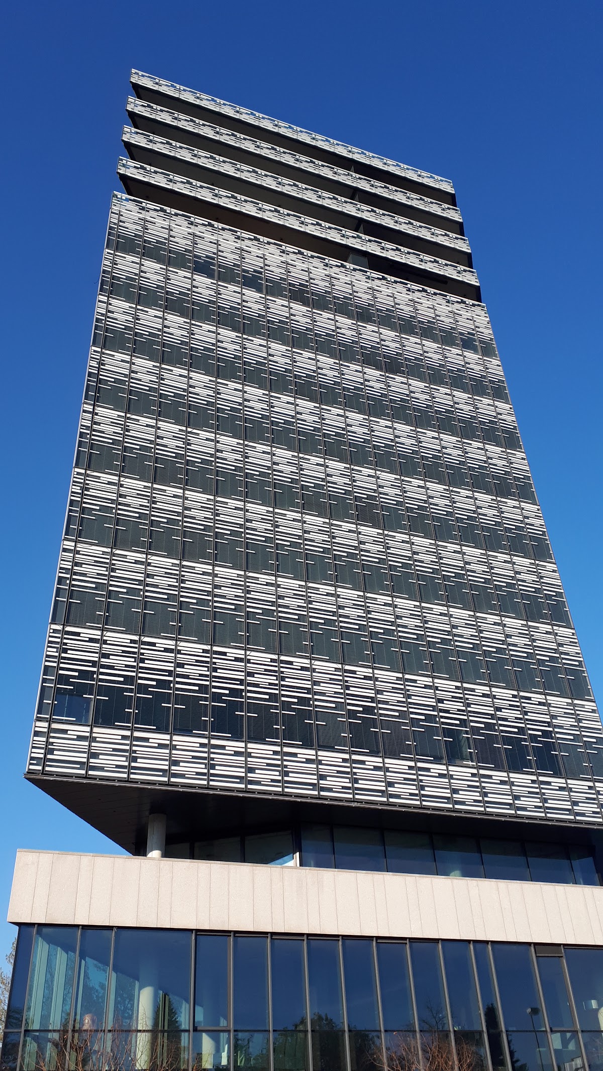 European Faculty of Law photo 3