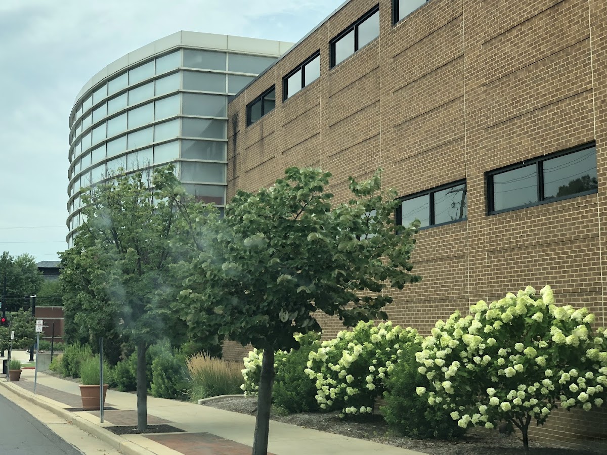 Webster University photo 8