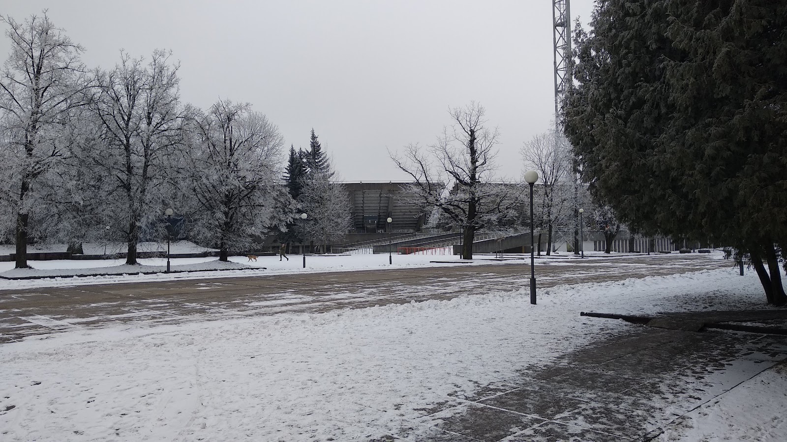 Lithuanian Sports University