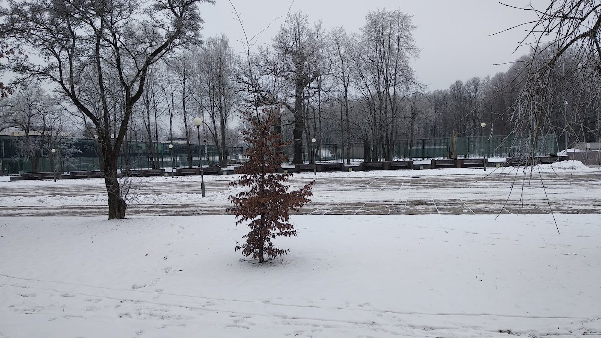 Lithuanian Sports University photo 1