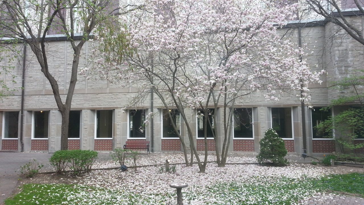 Tyndale University College & Seminary