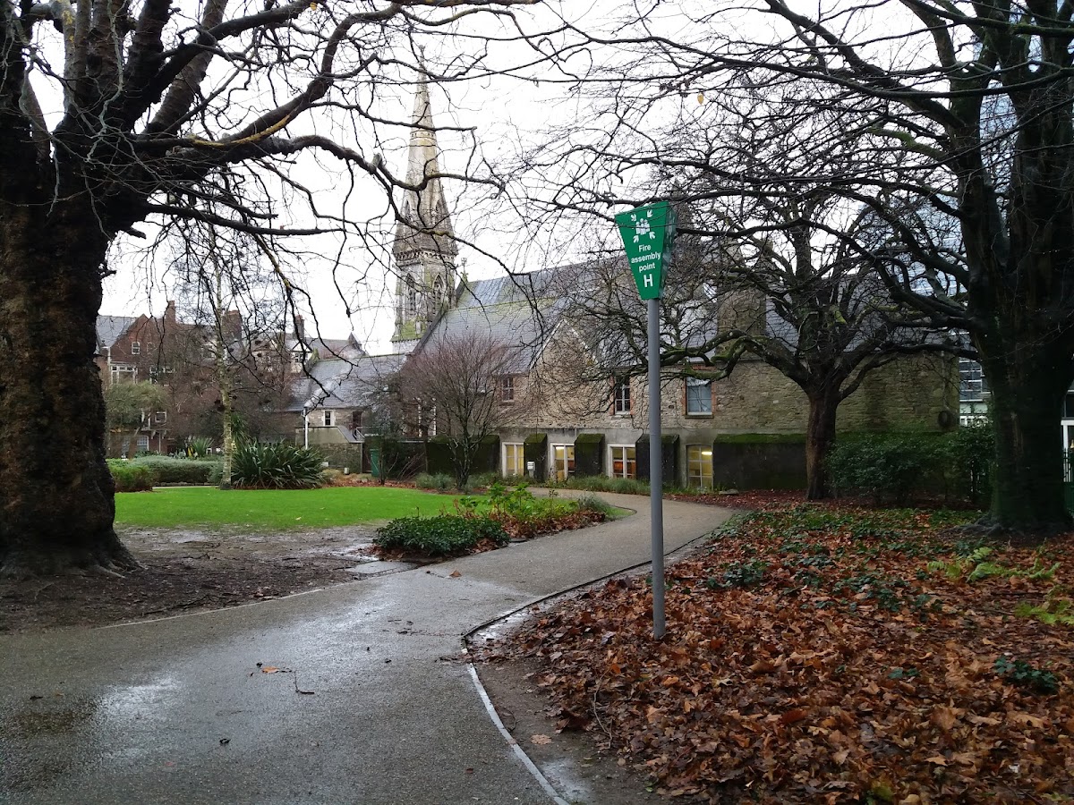University of Plymouth photo 8
