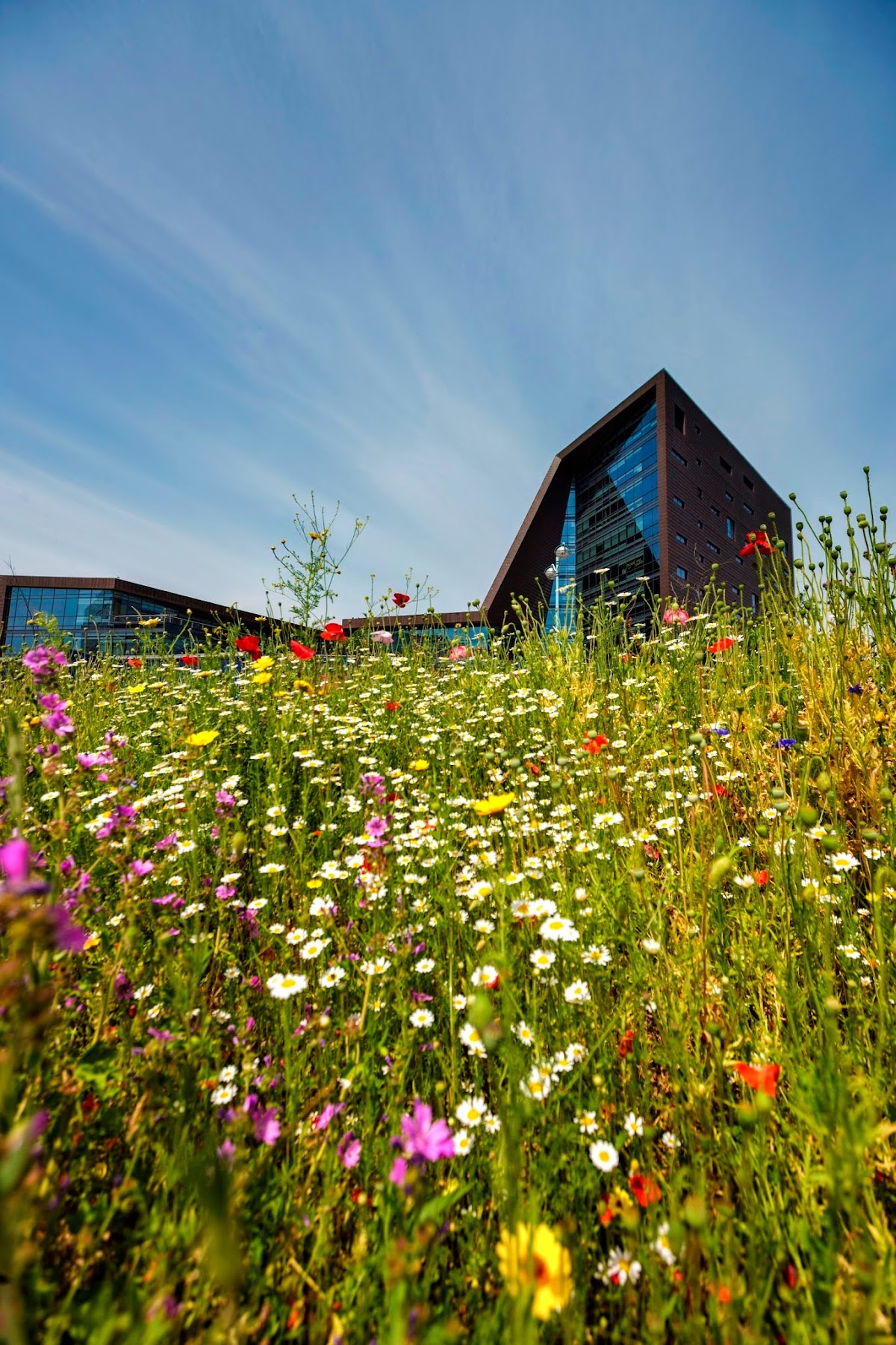 University of Plymouth photo 9