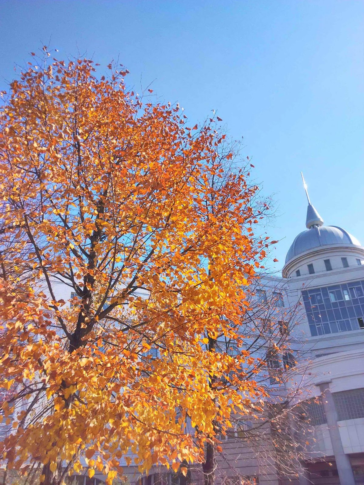 Jilin University photo 8