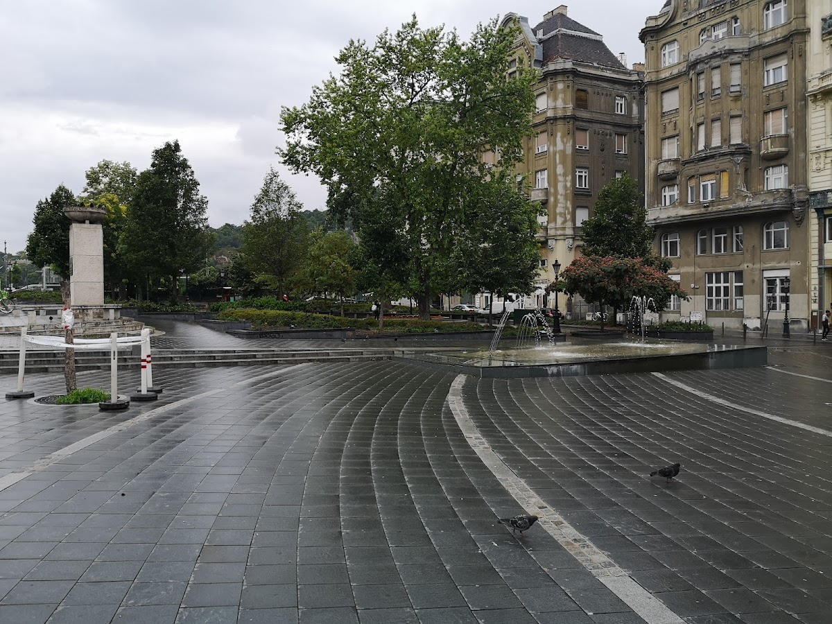 Corvinus University of Budapest photo 8