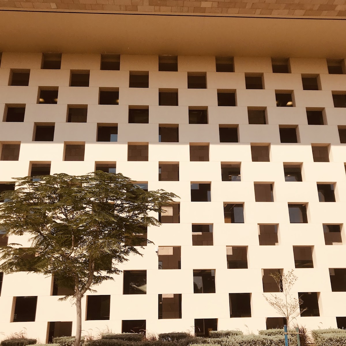 Georgetown University in Qatar photo 7