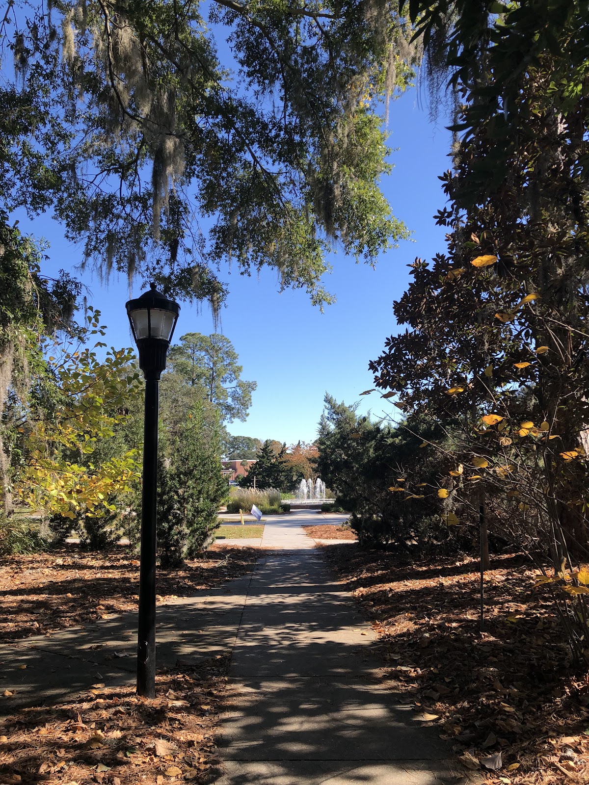 Armstrong State University photo 6