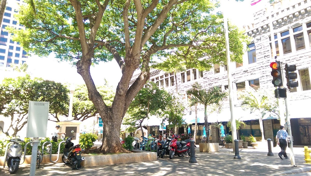 Hawaii Pacific University photo 3