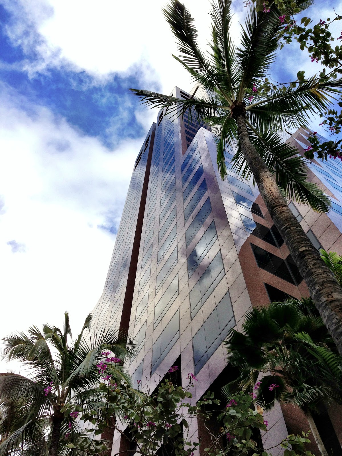 Hawaii Pacific University photo 6