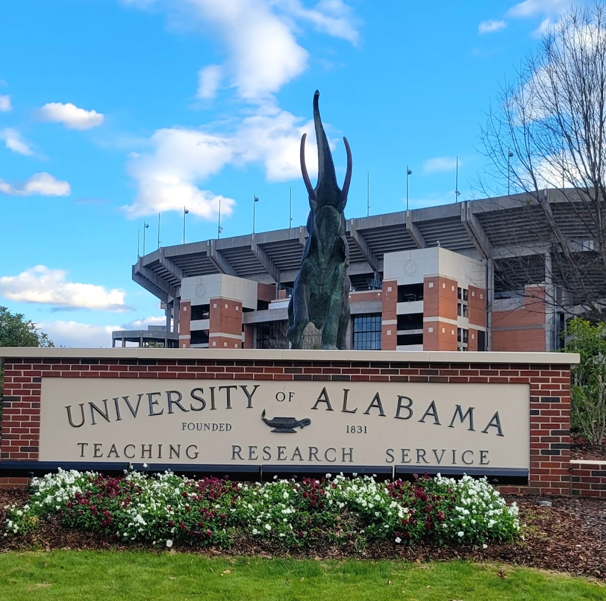 University of Alabama photo 7