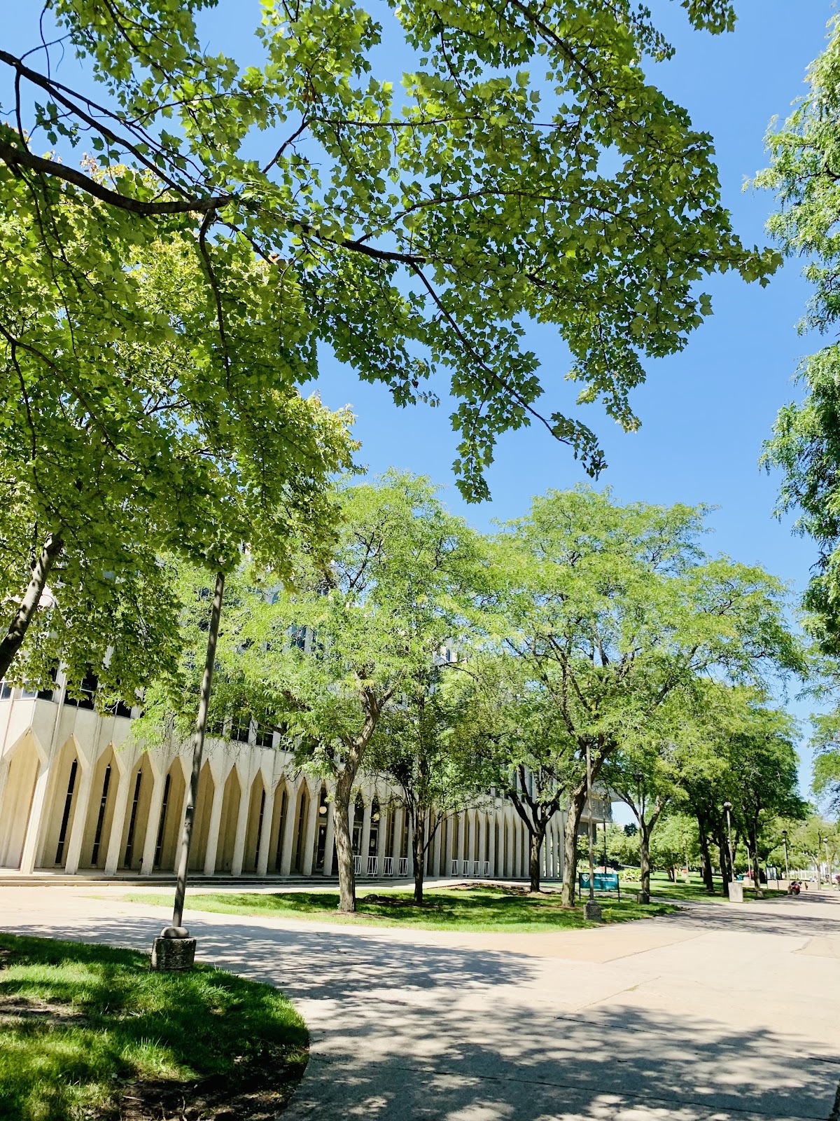 State University 1813 photo 8