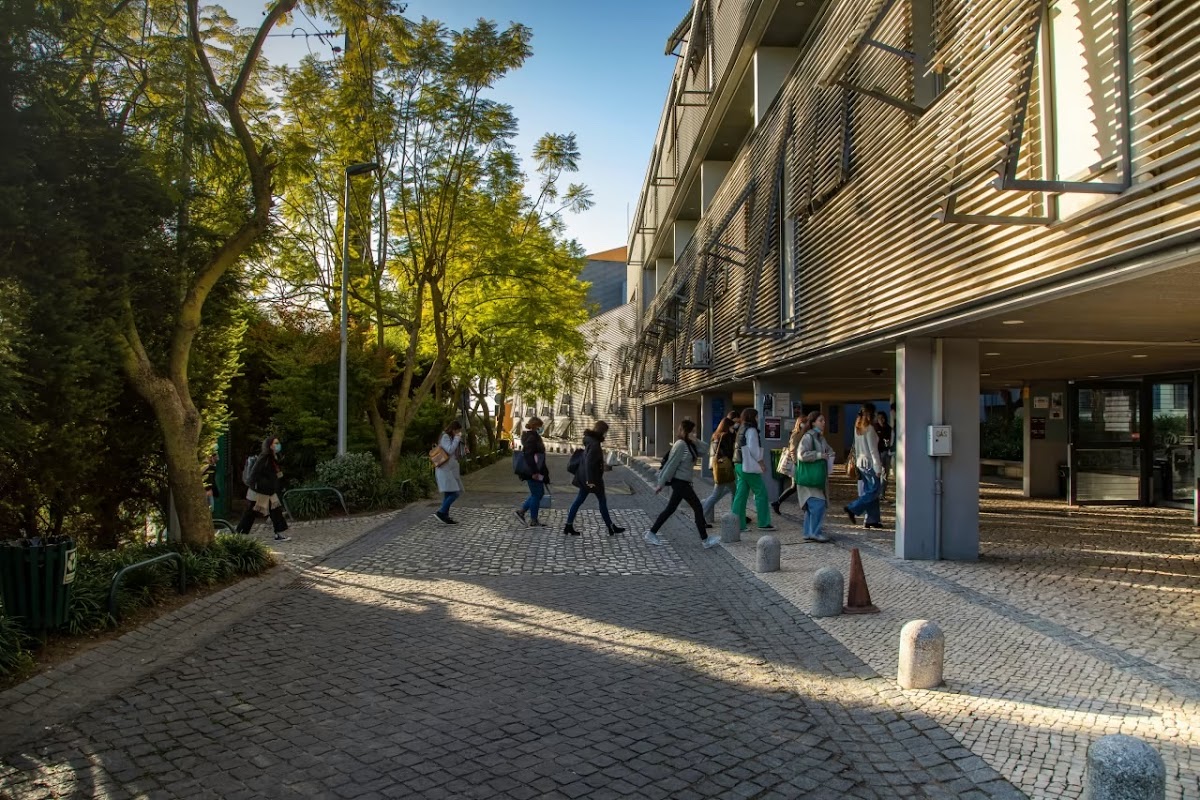 Instituto Superior de Ciências da Saúde Egas Moniz photo 1