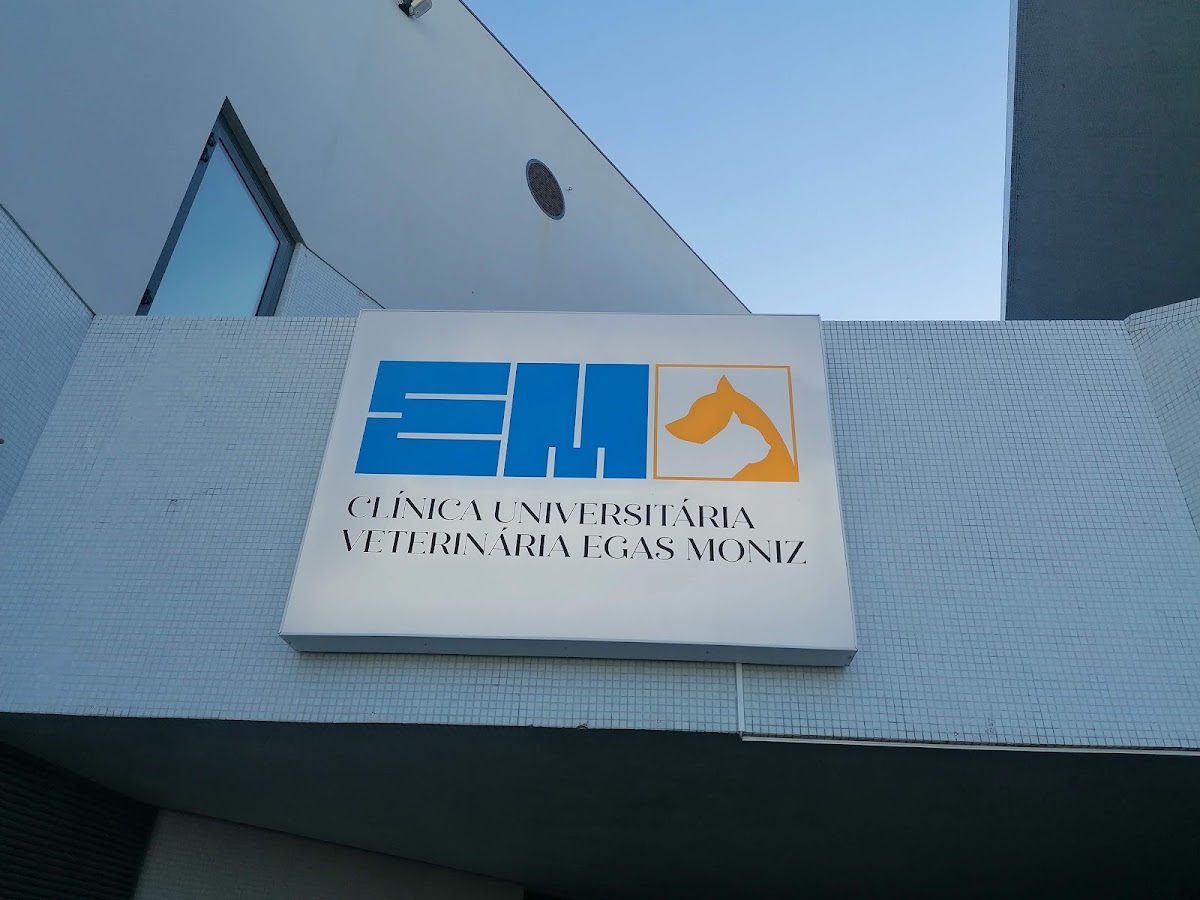 Instituto Superior de Ciências da Saúde Egas Moniz photo 4