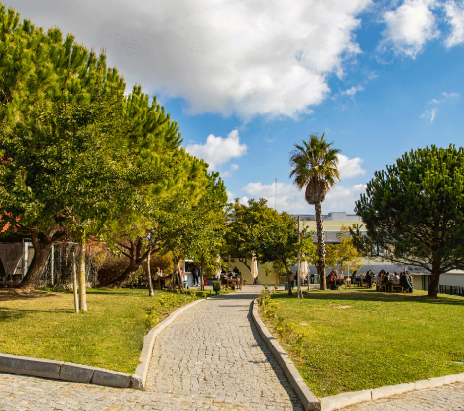 Instituto Superior de Ciências da Saúde Egas Moniz photo 6