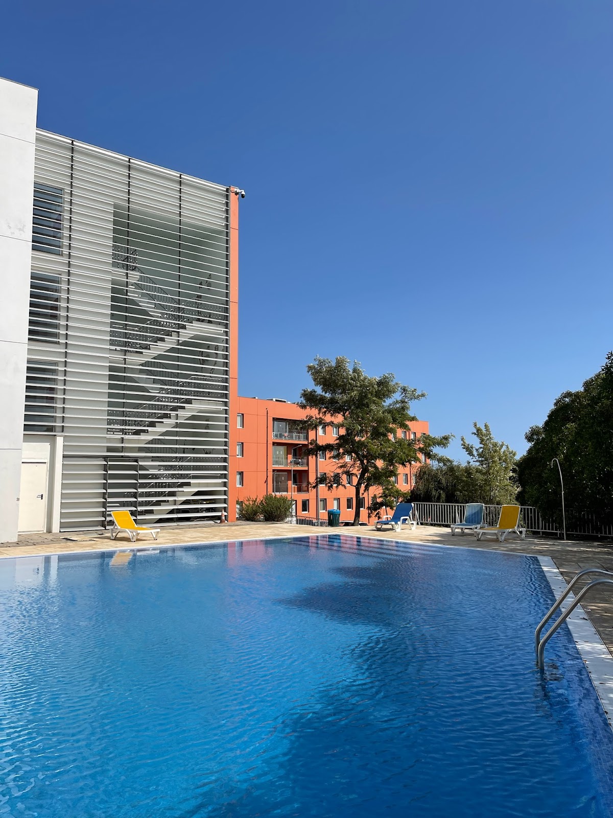 Instituto Superior de Ciências da Saúde Egas Moniz photo 9