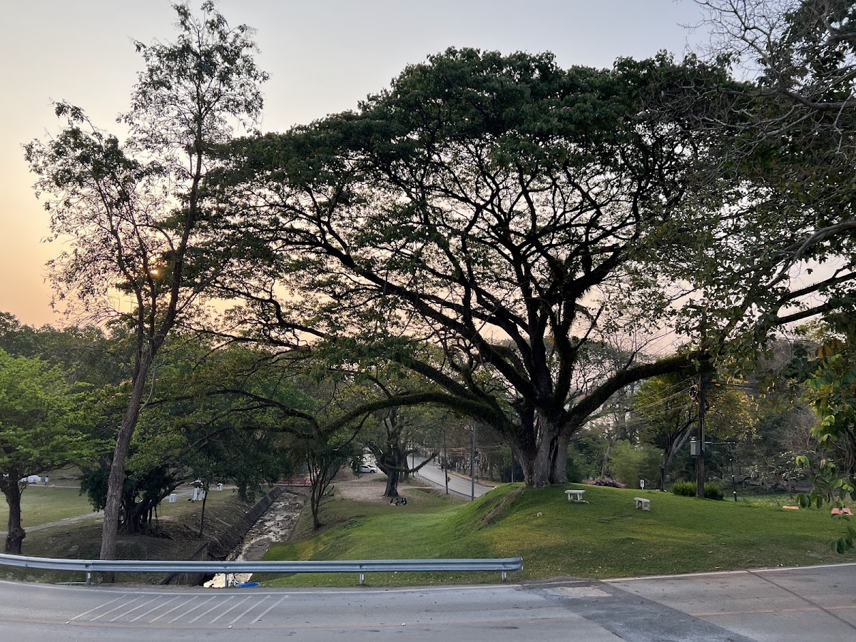 Chiang Mai University photo 4