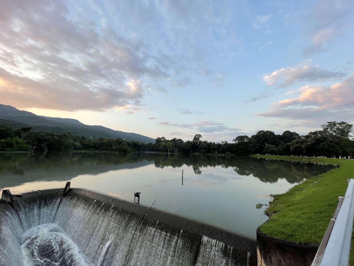 Chiang Mai University photo 5