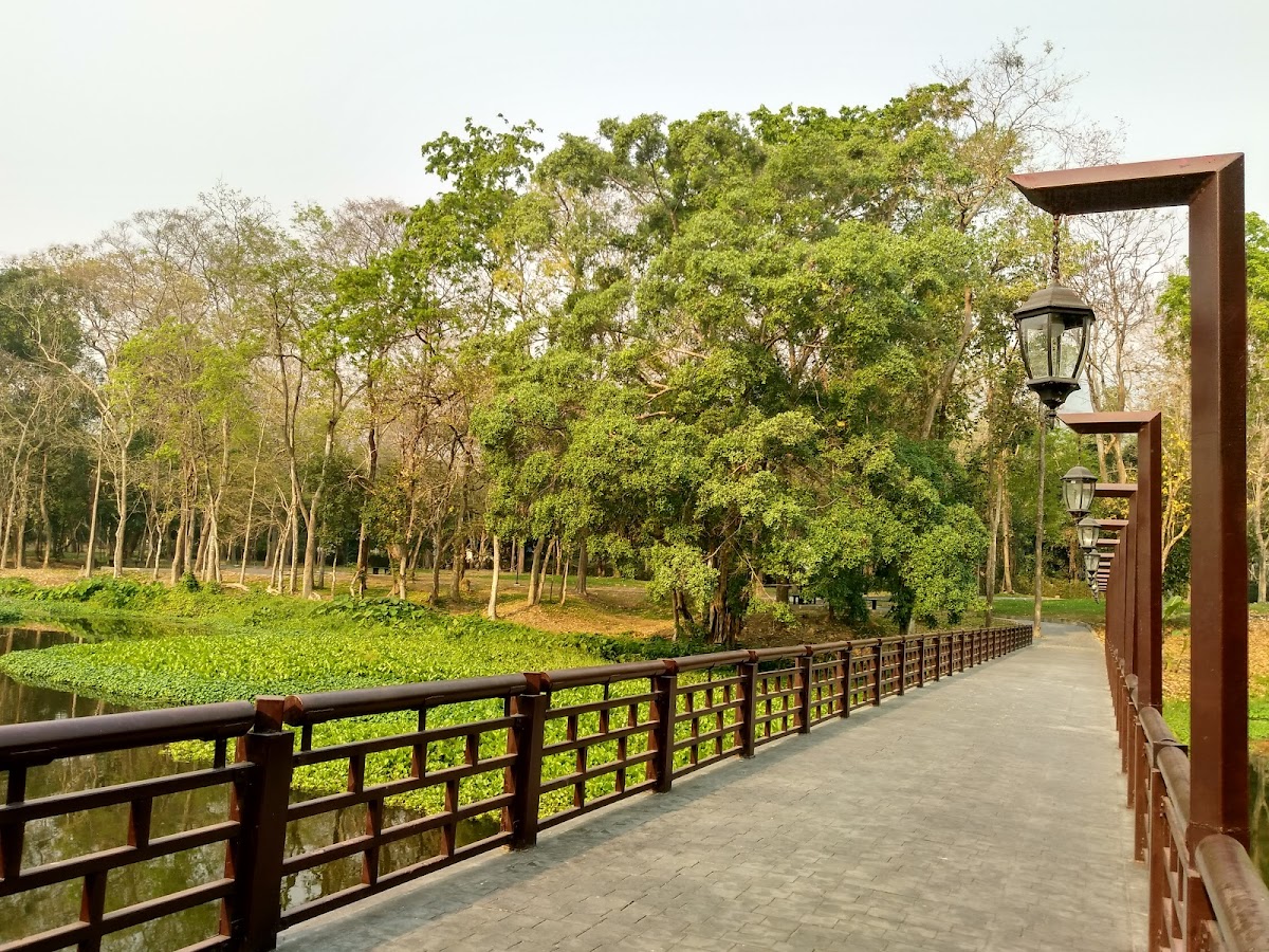 Chiang Mai University photo 8