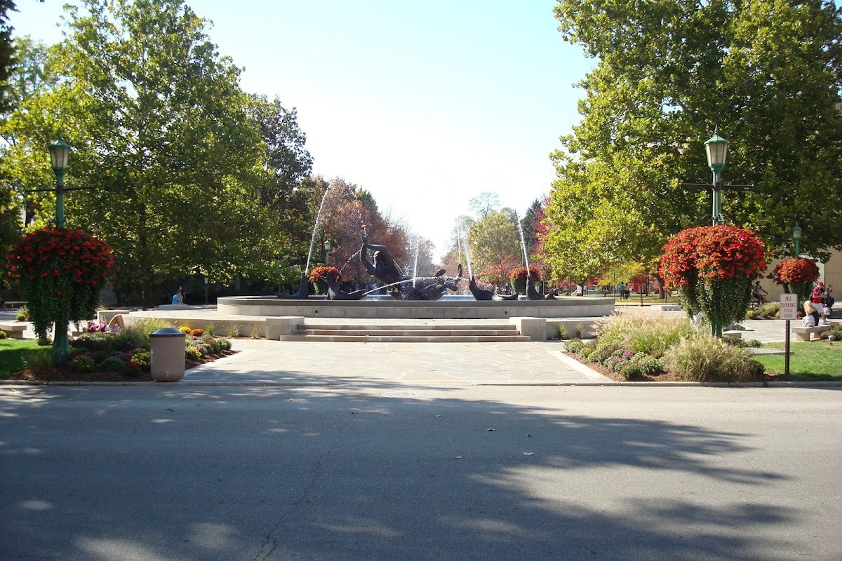 Indiana University Bloomington photo 2