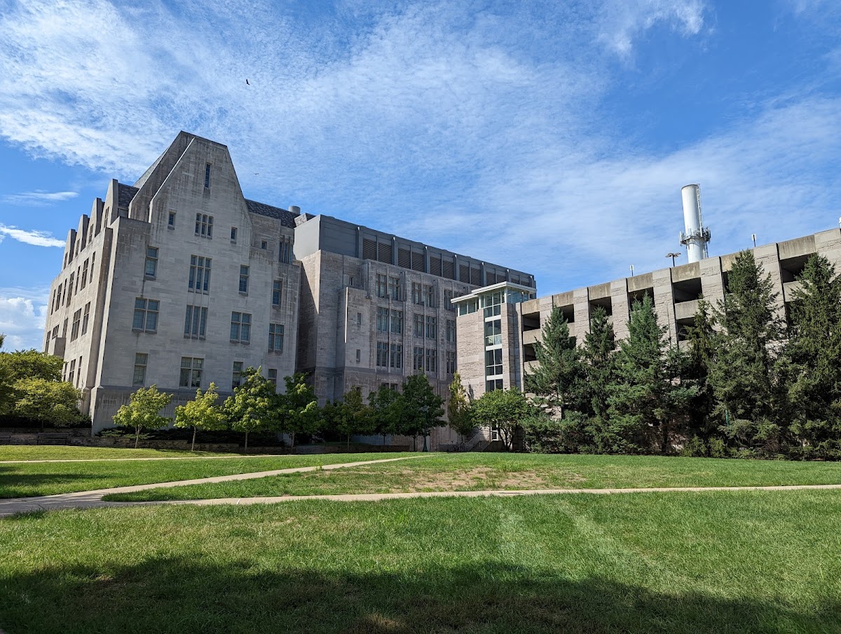 Indiana University Bloomington photo 6