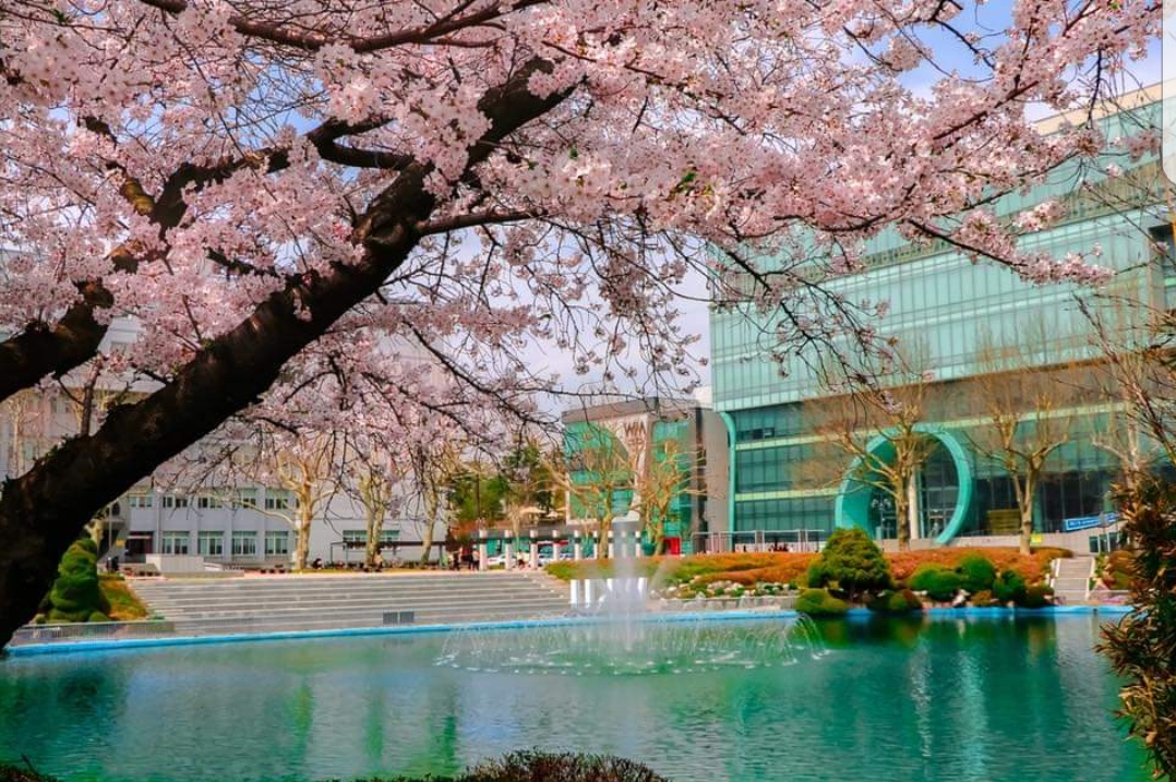 Wonkwang University photo 2