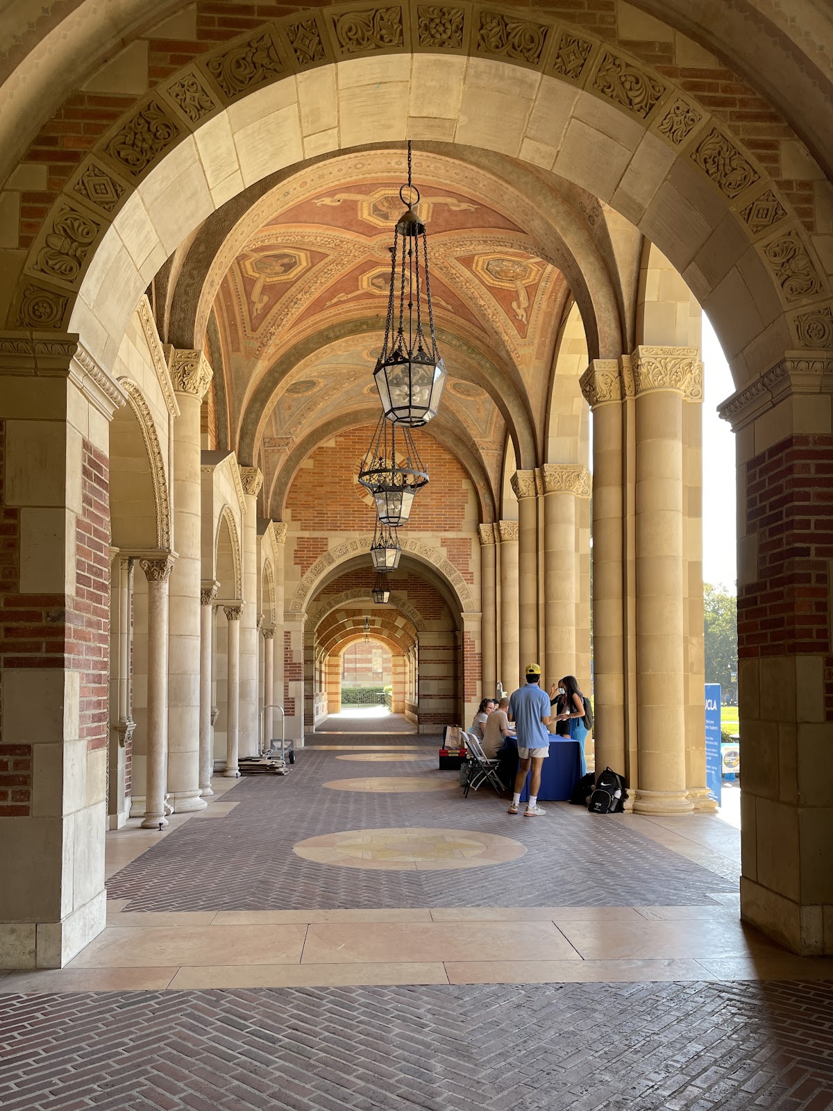 University_1165 photo 9