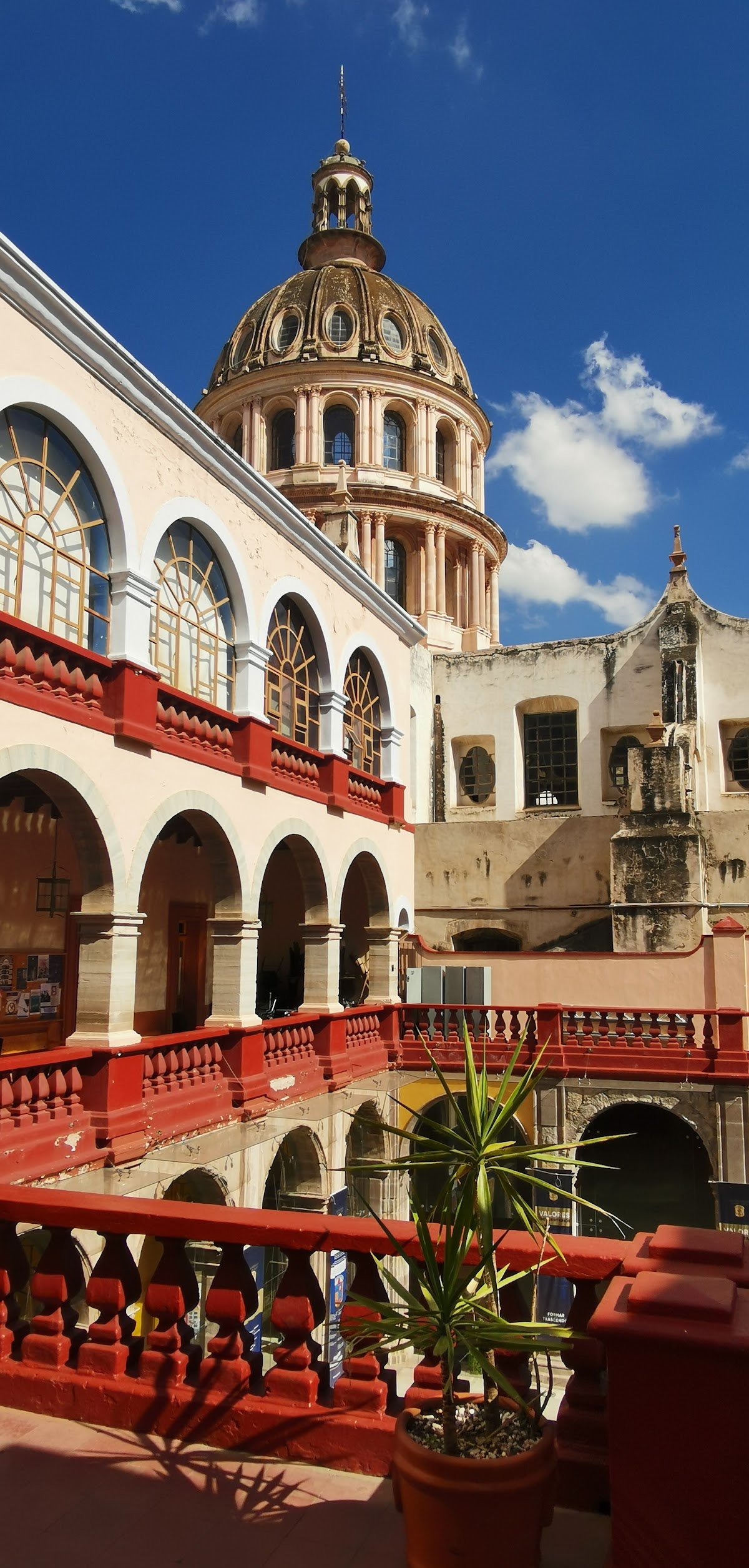 University of Guanajuato photo 9
