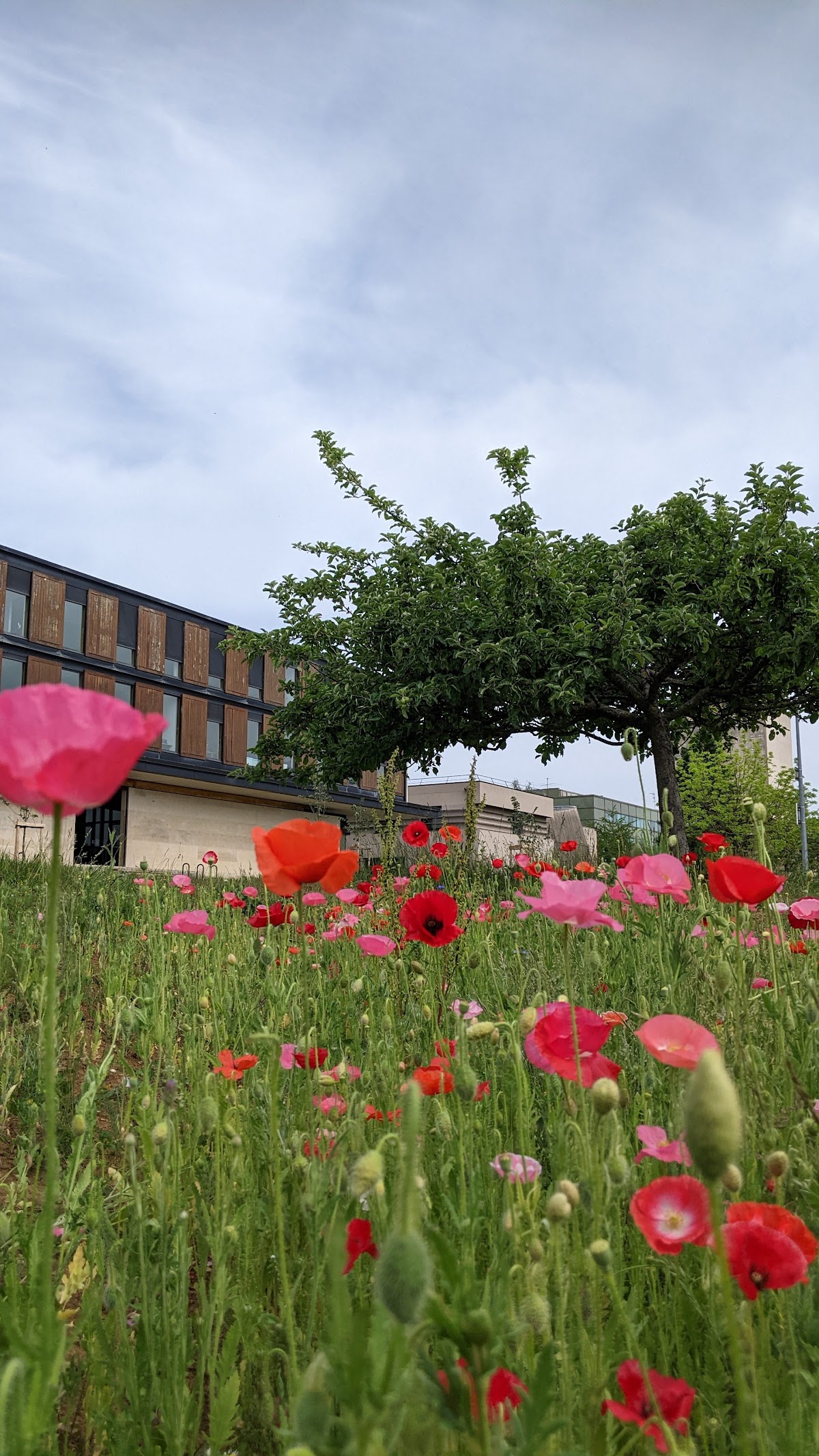 University of Burgundy photo 9