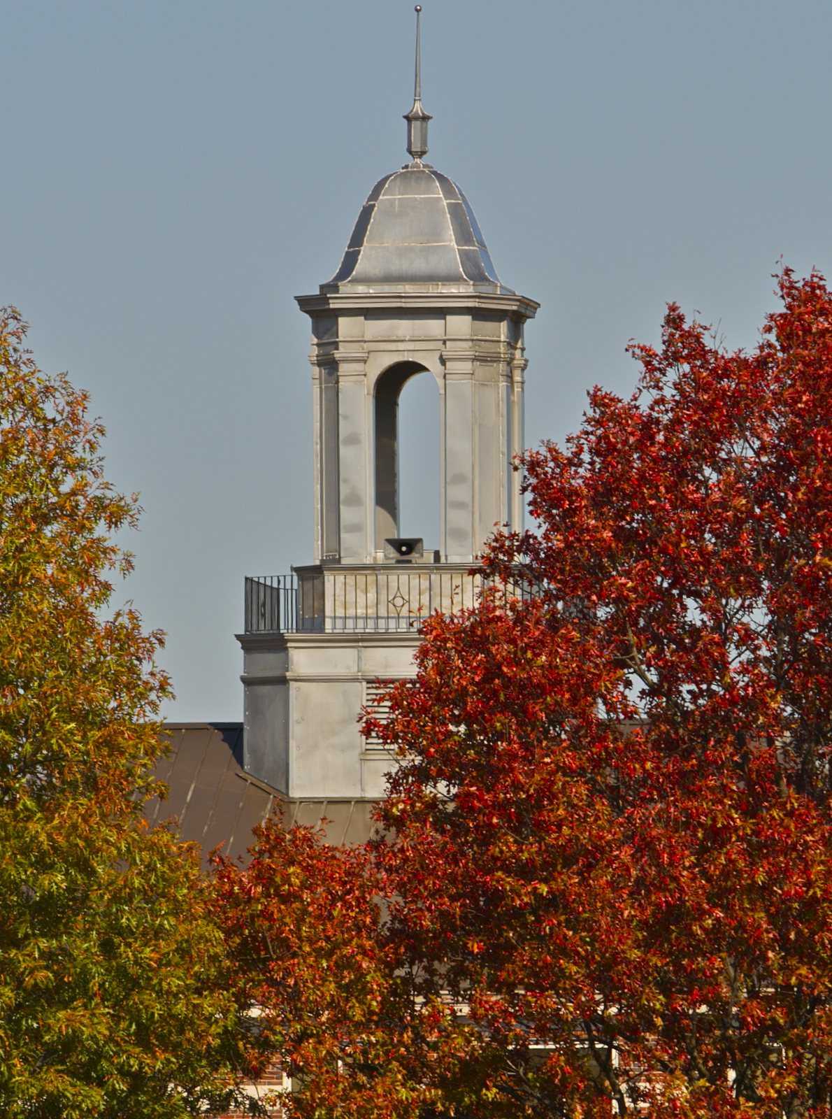 Regional University 1763 photo 8