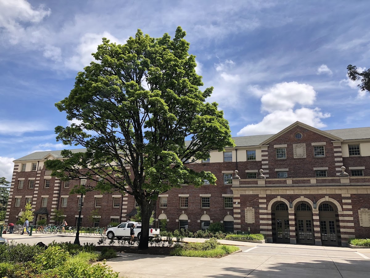 University of Oregon photo 5