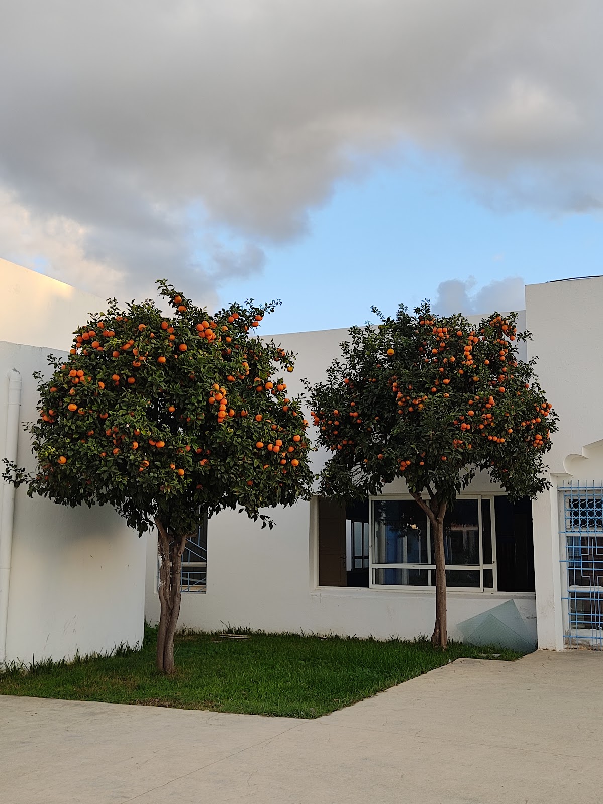 Abdelmalek Essaâdi University photo 8