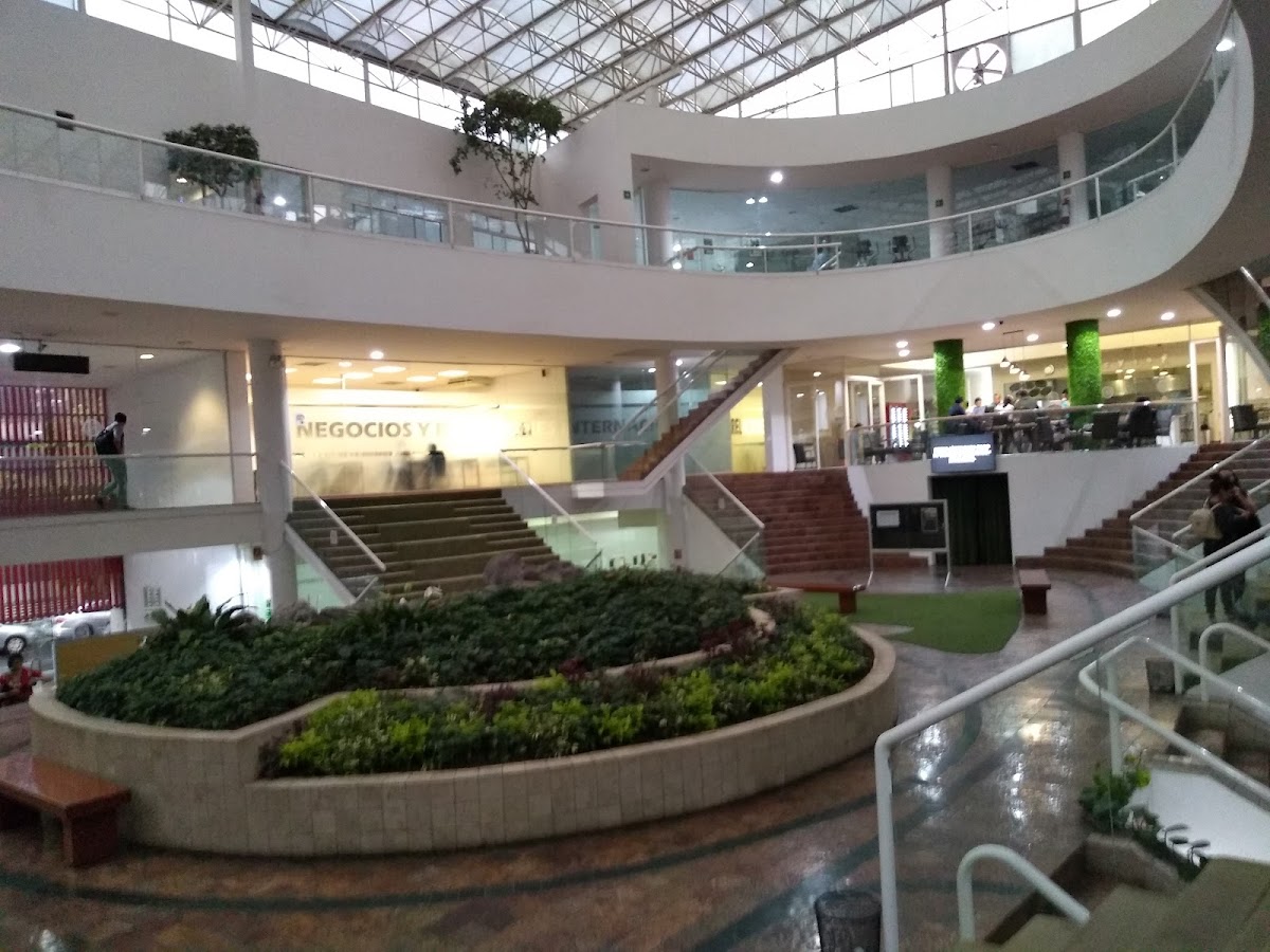 Universidad de las Américas Mexico City photo 6