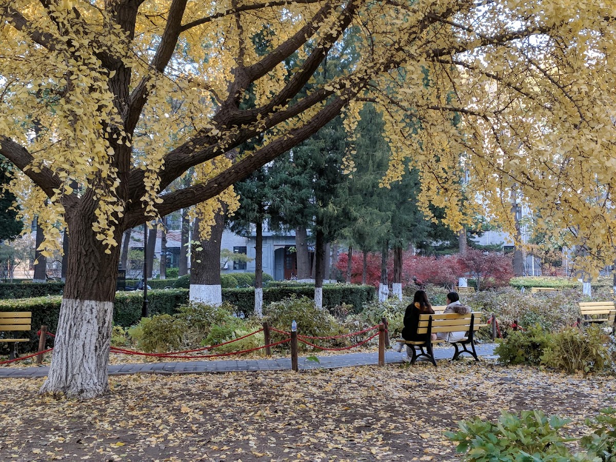 Beijing Normal University photo 6