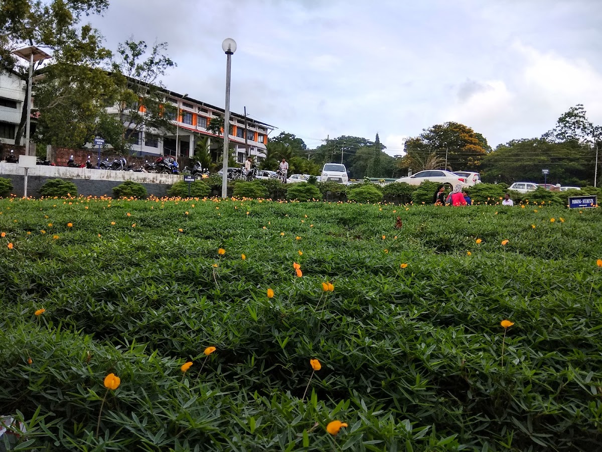 Calicut University photo 7