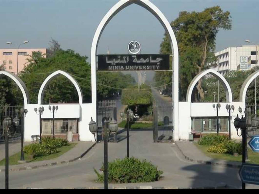 Minia University photo 8