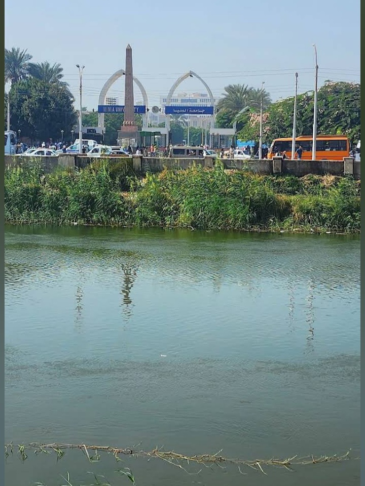 Minia University photo 9