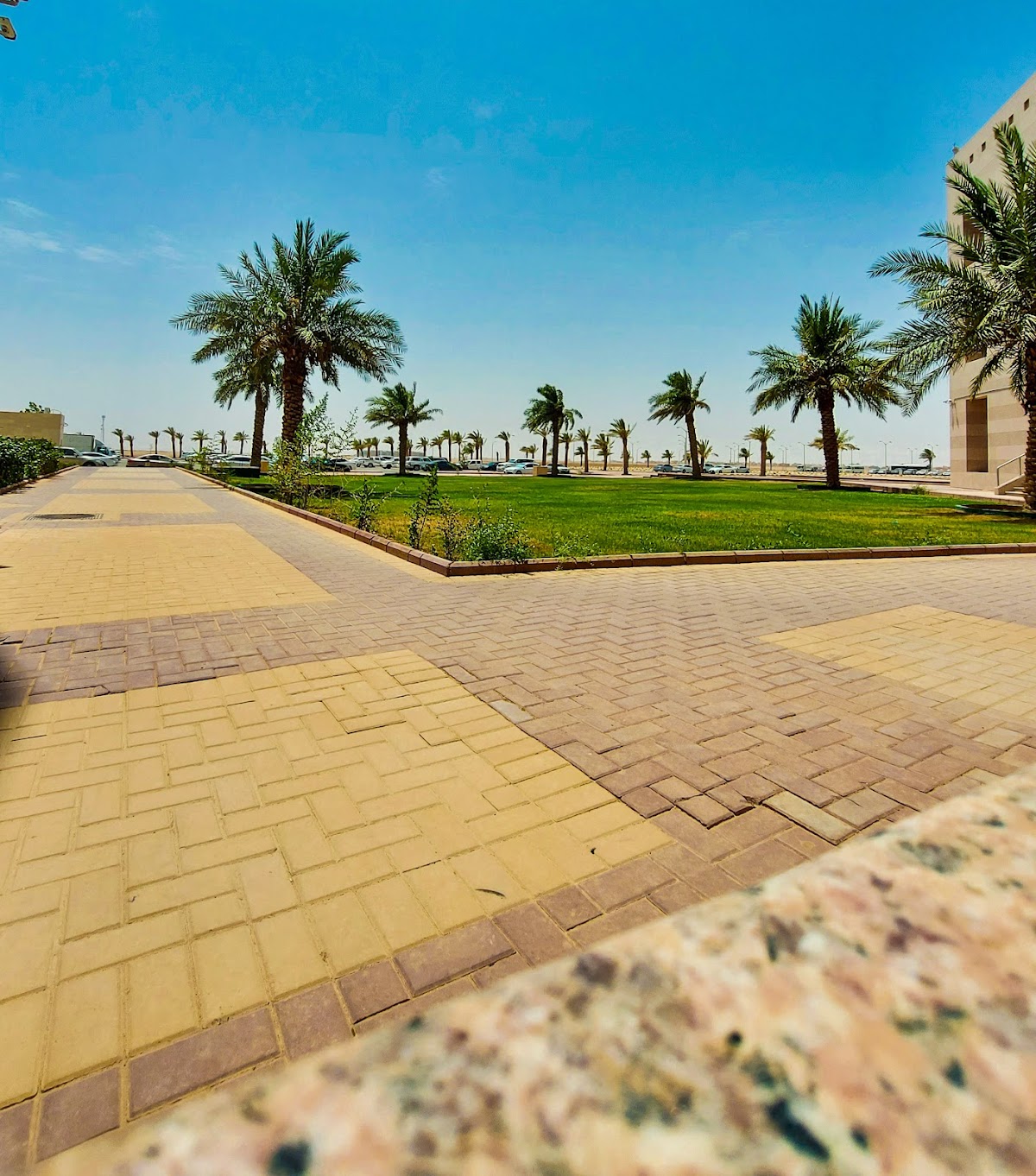 Hafr Al-Batin University photo 7