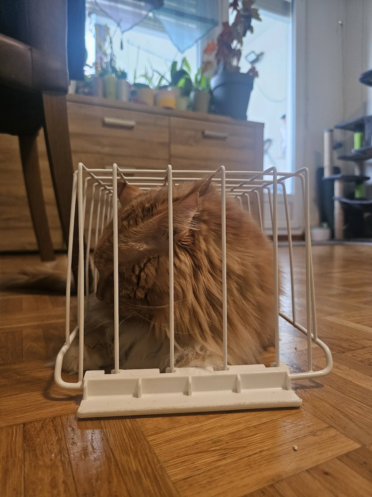 Haute école de gestion de Genève (HEG) photo 9