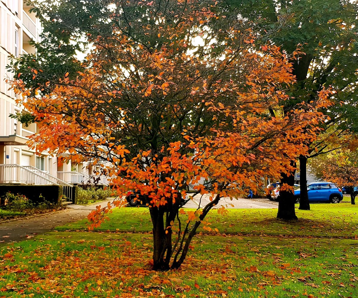 University of Rouen Normandy photo 5