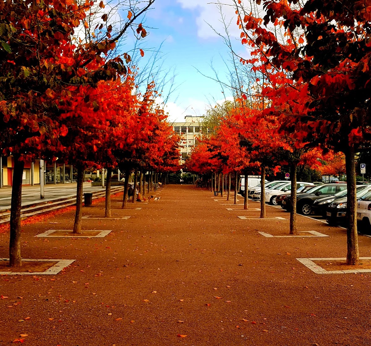 University of Rouen Normandy photo 6