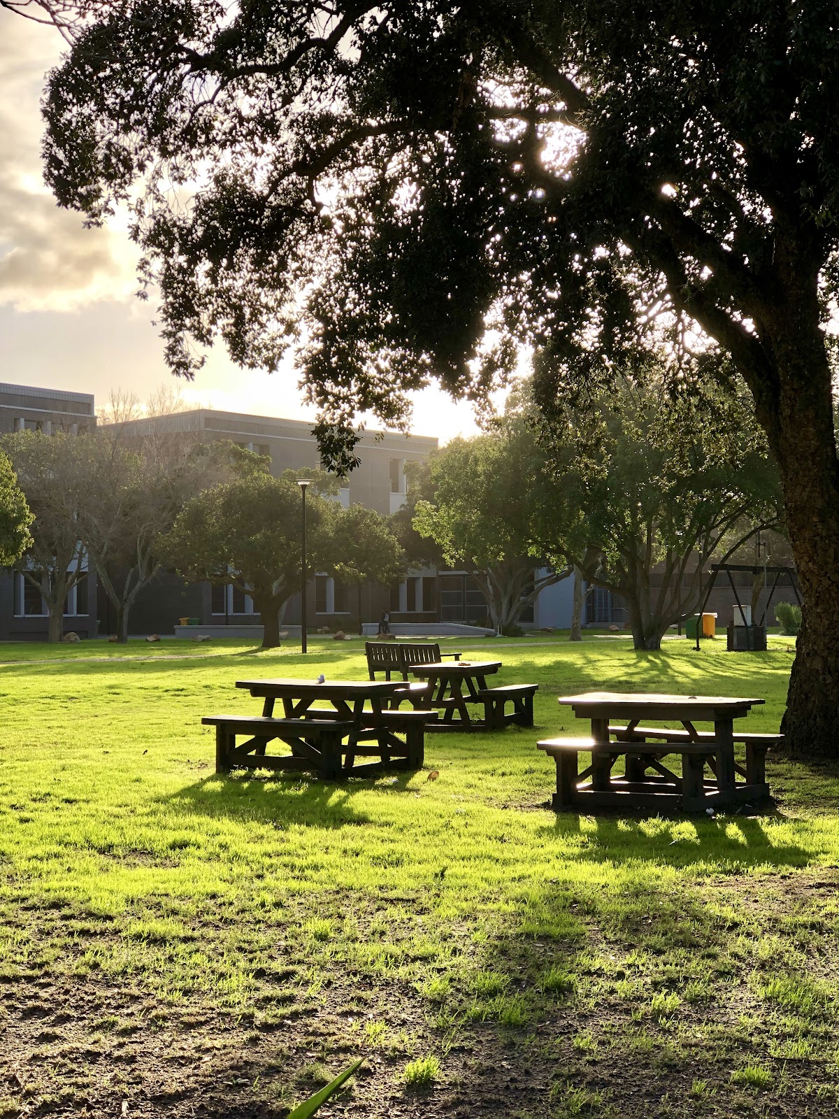 University of the Western Cape photo 8