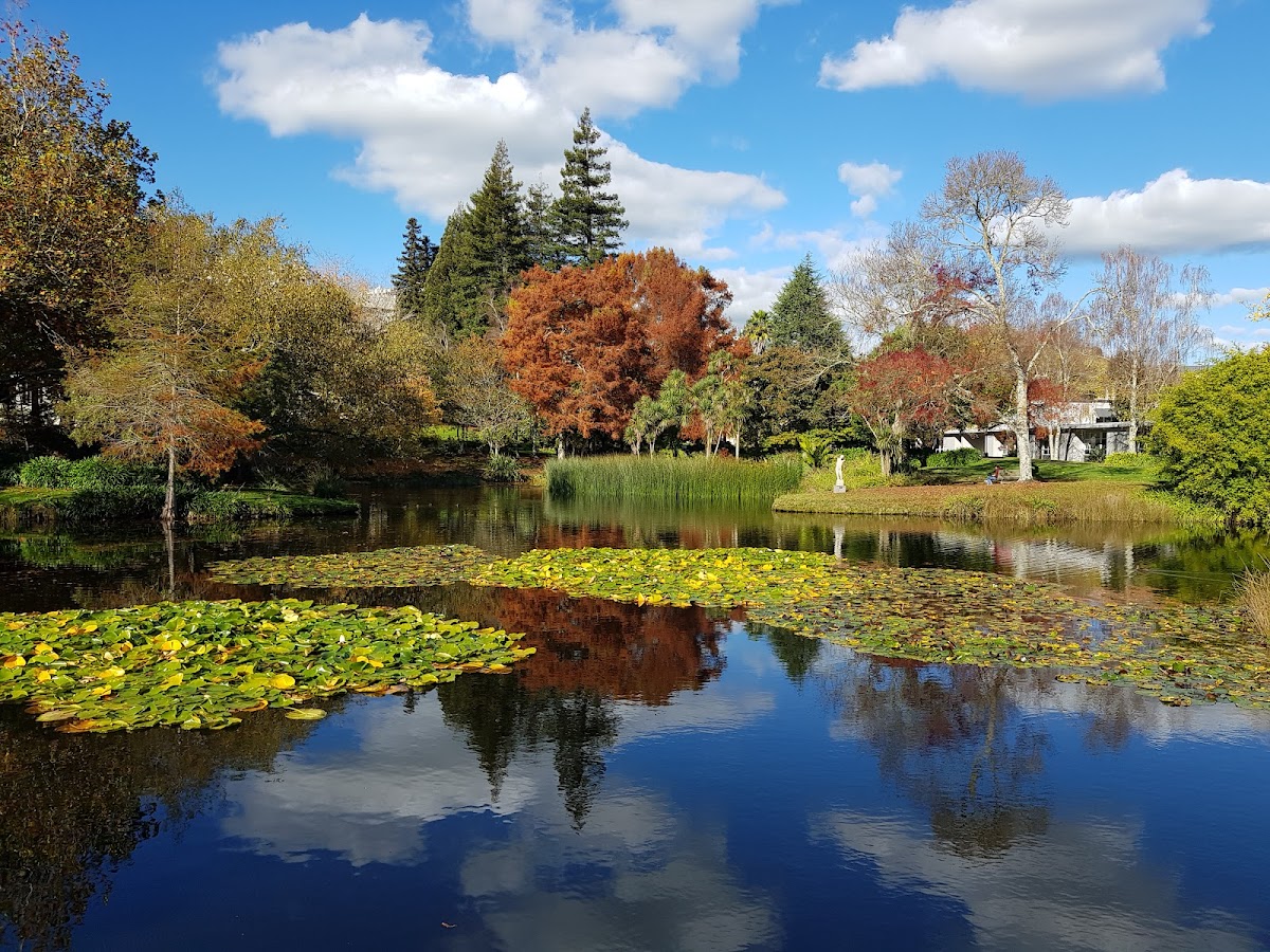 University of Waikato photo 2