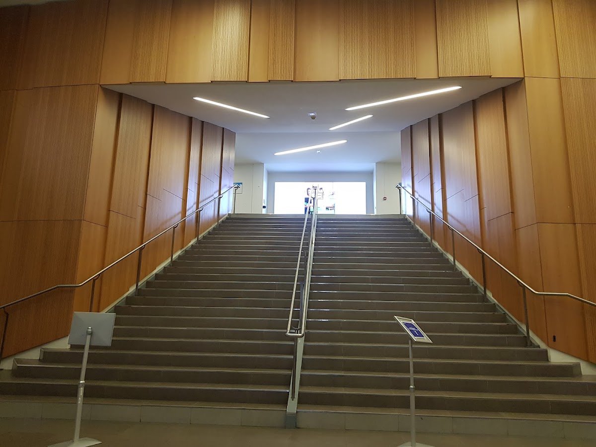 Université Paris Dauphine - PSL photo 3