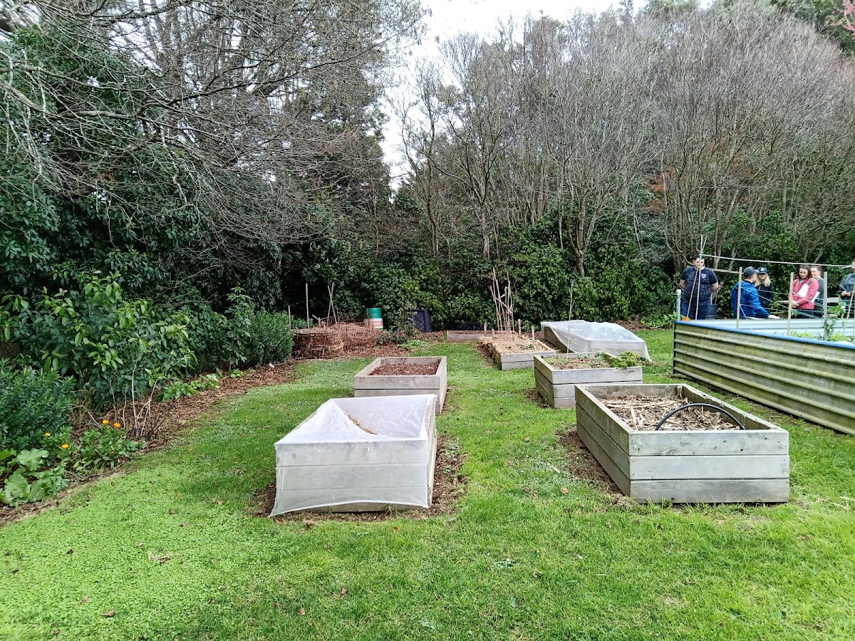 Western Institute of Technology at Taranaki (WITT) photo 9