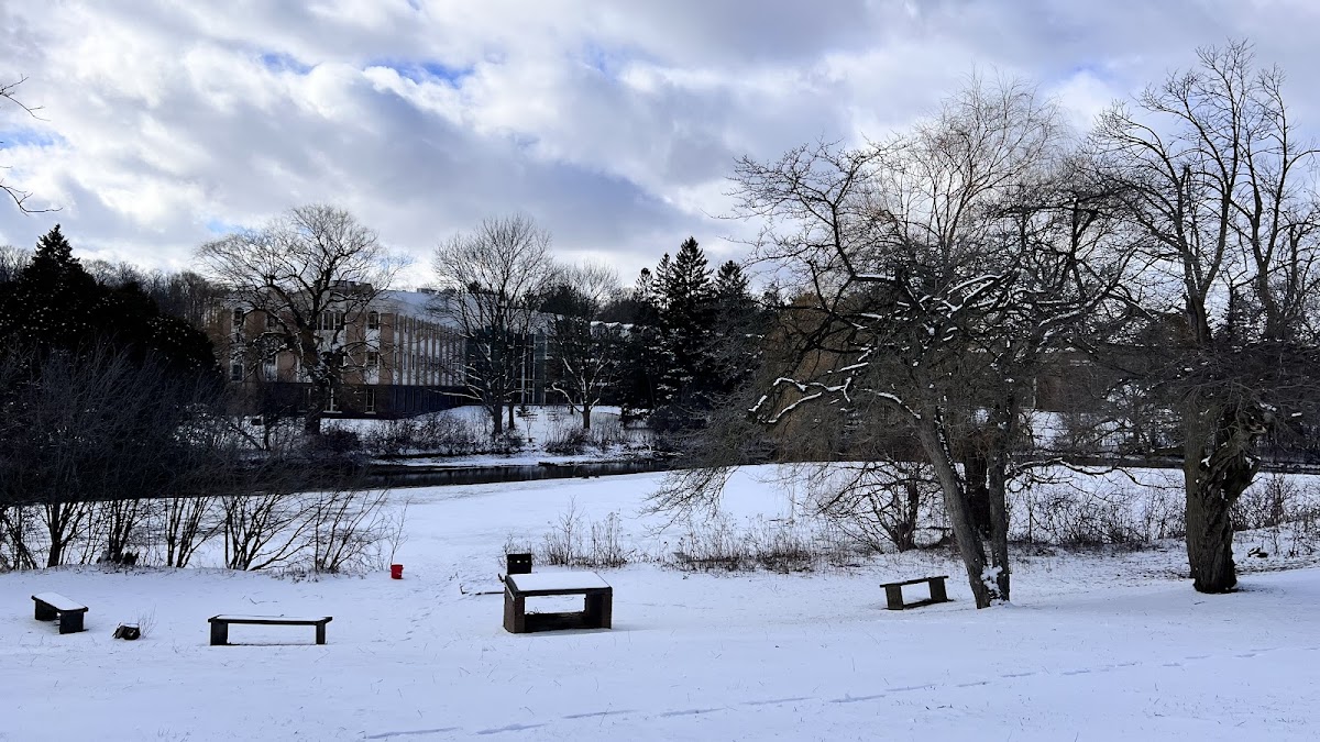 University of Waterloo photo 1