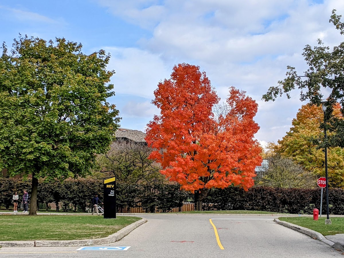 University of Waterloo photo 4