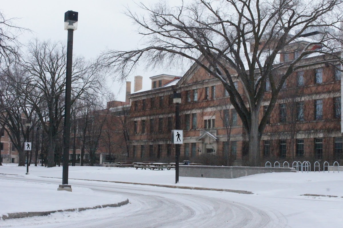 University of Manitoba photo 1