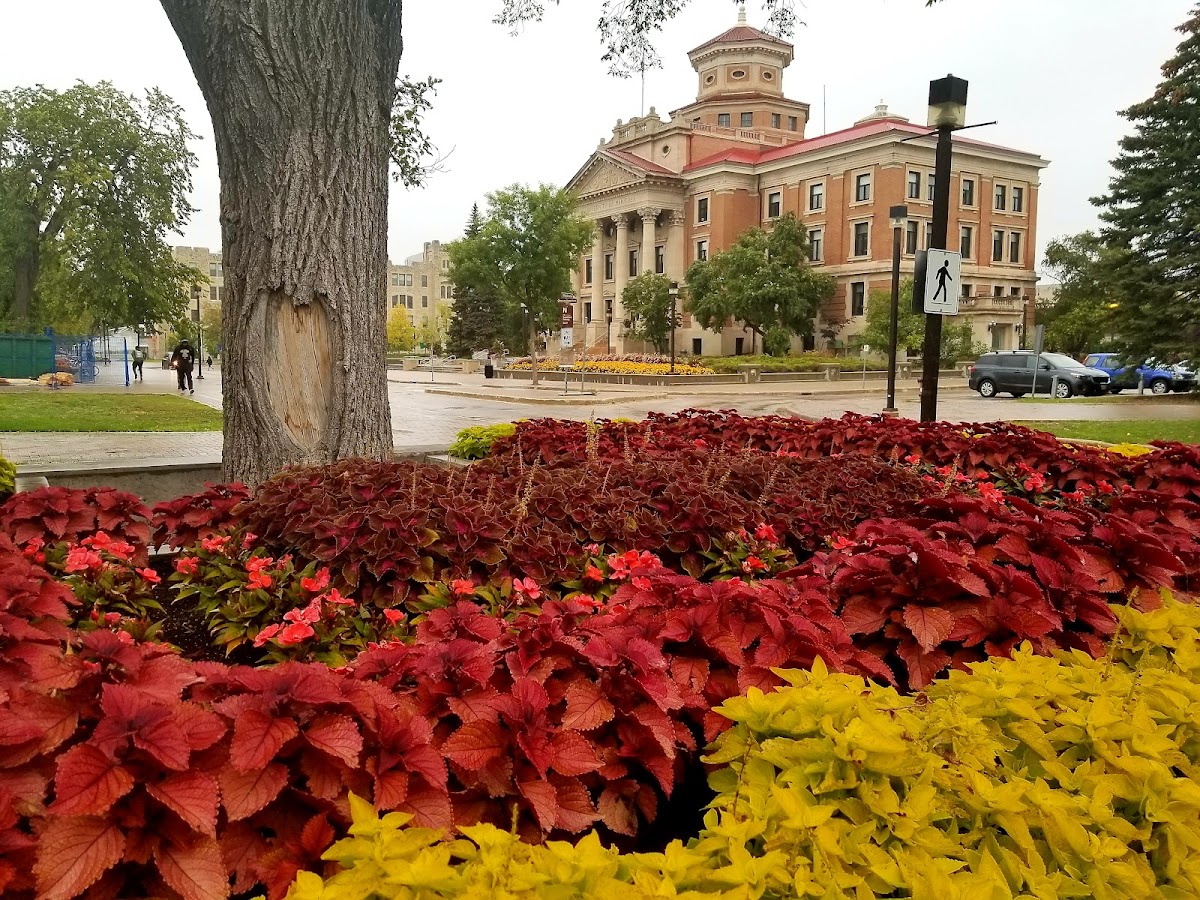 University of Manitoba photo 6
